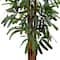 5.5ft. Potted Raphis Palm Tree in Black Decorative Planter